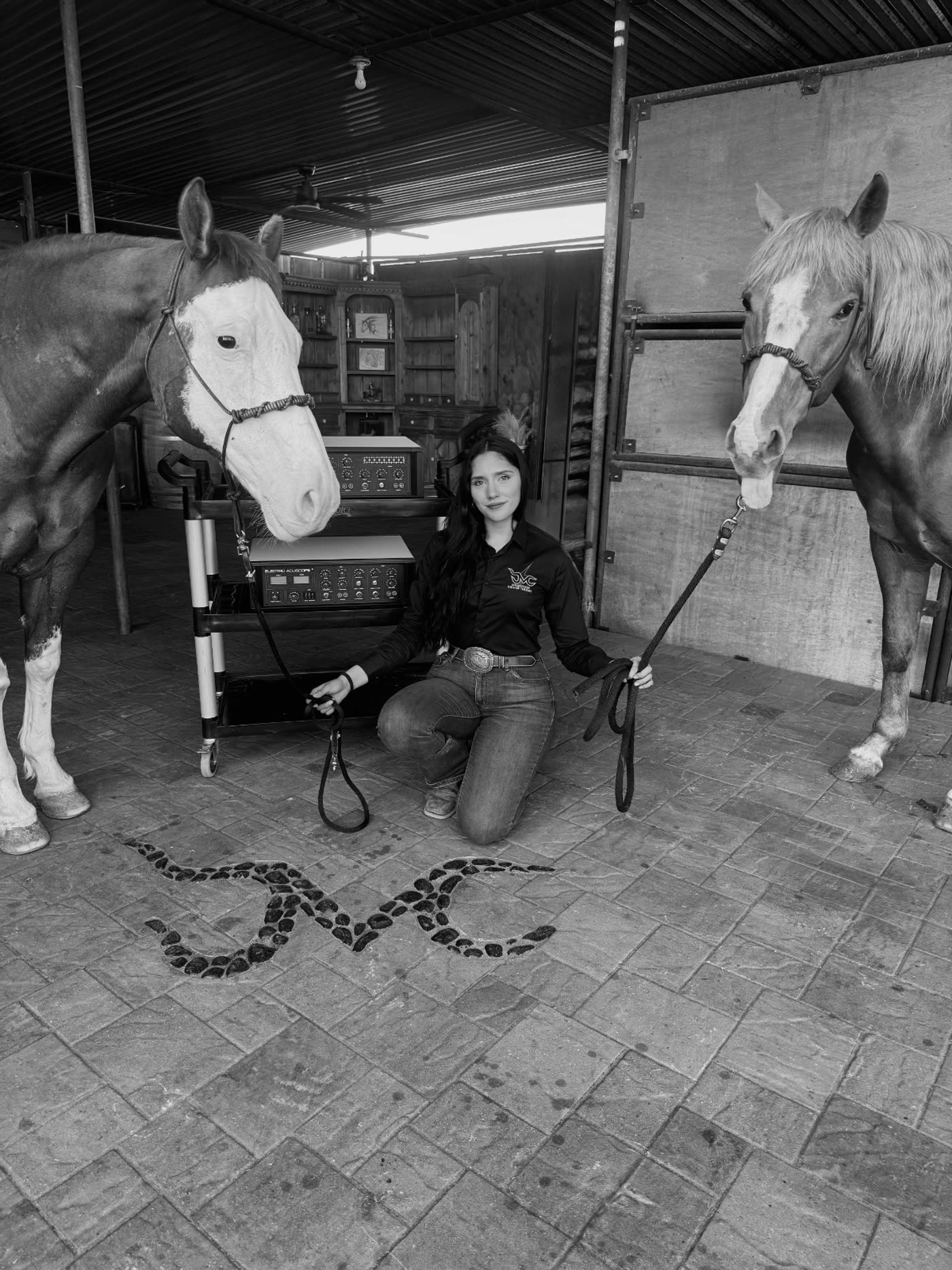 Bertha Sencion kneeling between two horses at a barn, with her Electro-Acuscope microcurrent units on a cart